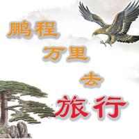 鹏程万里旅行头像