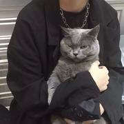 张鑫983的个人资料头像