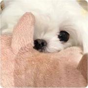 用户5811473159495的个人资料头像