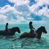 杰。头像