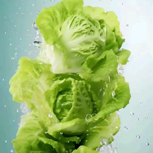 三印爱美食头像