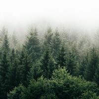 喜庆的蜻蜓04u头像