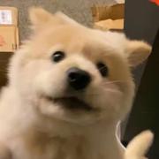 U665F的个人资料头像