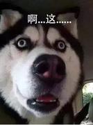 二八定律的个人资料头像