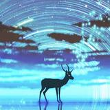 木木52322头像