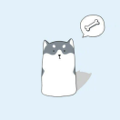 Shawn爱学习61278的个人资料头像