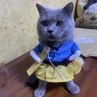 大气葡萄9Ah头像