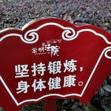子德928头像