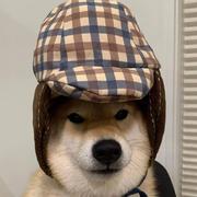 阿沢的个人资料头像