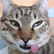 火烧羽毛的个人资料头像