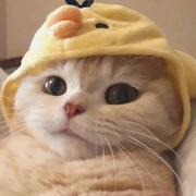 binge_com_cn的个人资料头像