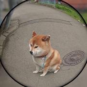 用户2068138480547的个人资料头像