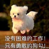 芭芭拉冲ya头像
