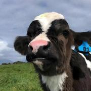 Her0的个人资料头像