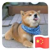 赵鹏3072头像