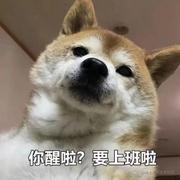 lttao的个人资料头像