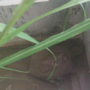青玄修道头像