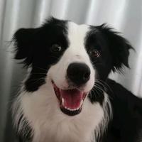 二级抓下就完了头像