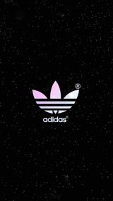 博学的西柚TJ头像