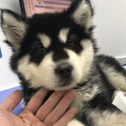 jiiiiw的个人资料头像