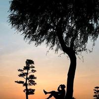 不要打电话a1a4头像