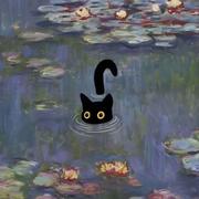 WeiYuqing的个人资料头像