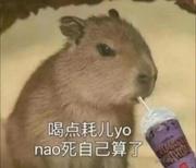 用户5115060088152的个人资料头像