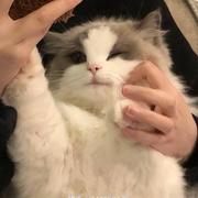用户6131144688875的个人资料头像