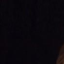 nasha107664的个人资料头像