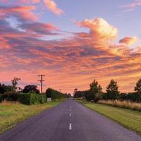 AfraldLeaveyou头像