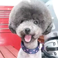 左是个左←头像