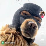 140383296头像
