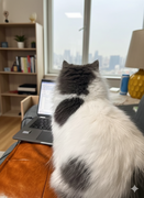 AI小学生的个人资料头像