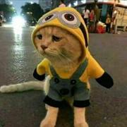 Betterme的个人资料头像