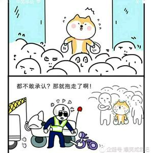 法系车民间专家头像