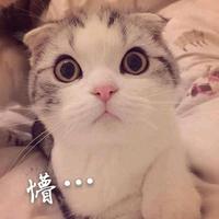 习̶̶惯̶̶头像