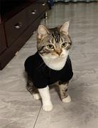 ltmonster的个人资料头像