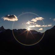 仙亽草的个人资料头像