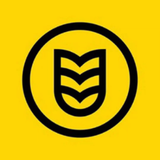 水稻新能源专修头像