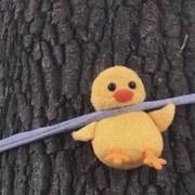 Yyyyyy的个人资料头像