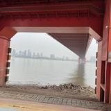晓月依亭0204头像