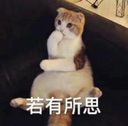 Science_Jun的个人资料头像