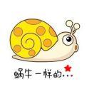 魏燕勿忘初心的个人资料头像