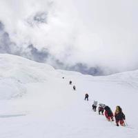 行者无疆阿迪头像