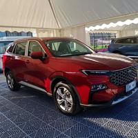 认真的海燕5b0头像