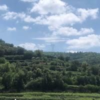 风趣钢笔Rdh头像