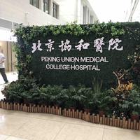 五点半永远头像
