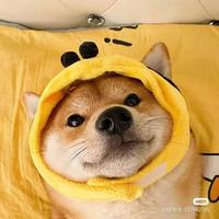 菜海洋头像