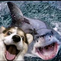 用户8114568552905头像