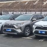 22RAV4铂青铜头像